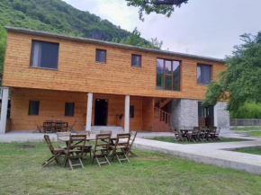 xhovani zelna